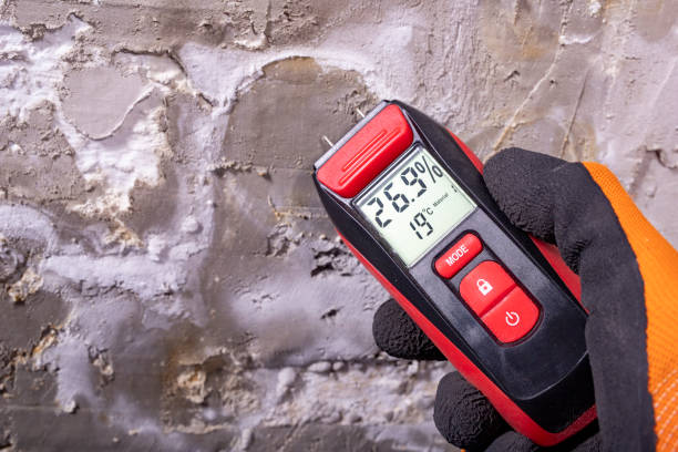 Mold Removal and Inspection in Bridgeville, PA