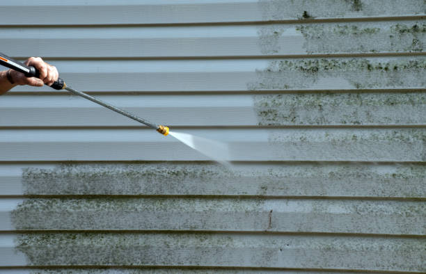Best Fast Mold Removal  in Bridgeville, PA